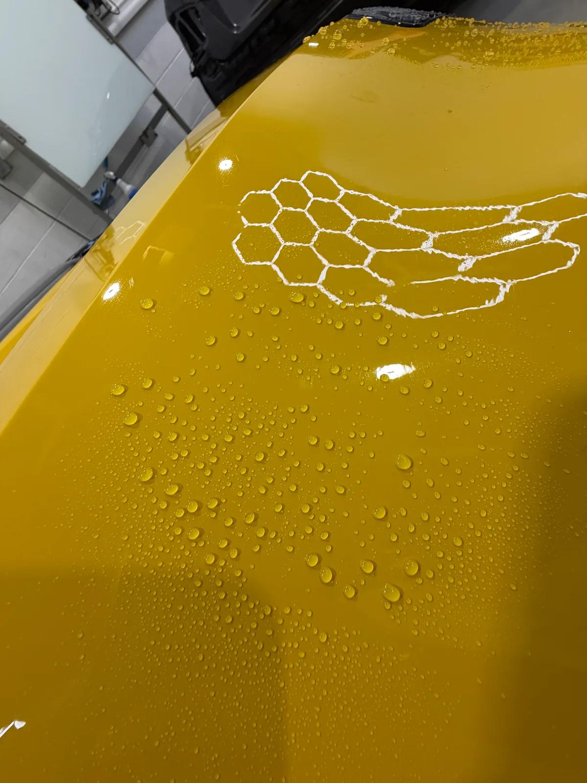 Chevrolet Corvette — exterior detail by GNelson Detailing