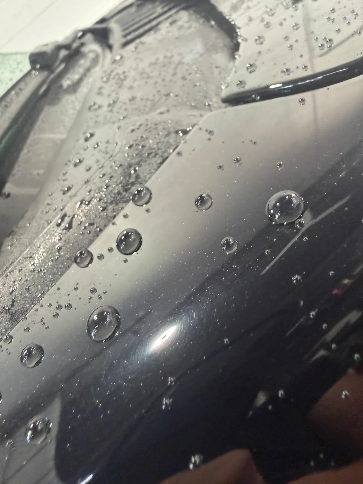 Coated Paint — exterior detail by GNelson Detailing